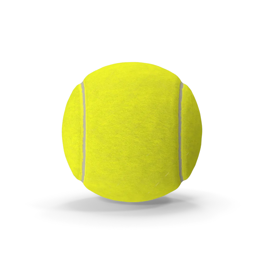 Tennis balls, sealed tube of 3, brand new